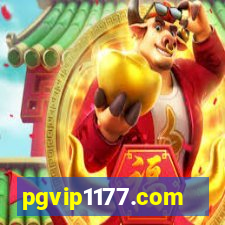 pgvip1177.com