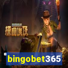 bingobet365