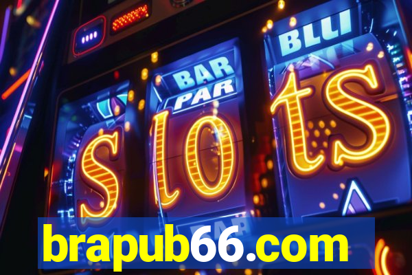 brapub66.com