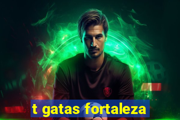 t gatas fortaleza