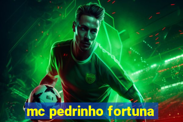 mc pedrinho fortuna