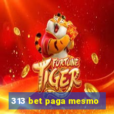 313 bet paga mesmo