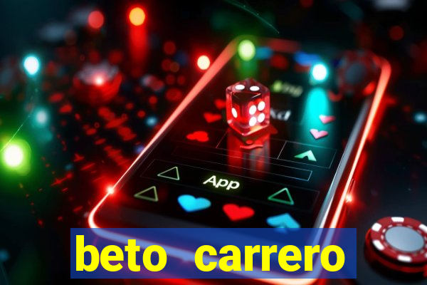 beto carrero cidades proximas