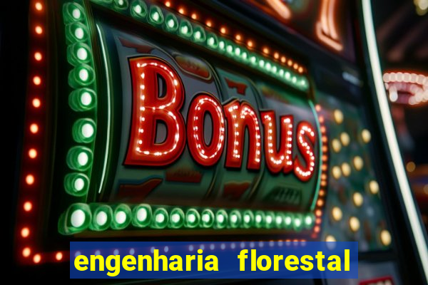 engenharia florestal ead cruzeiro do sul