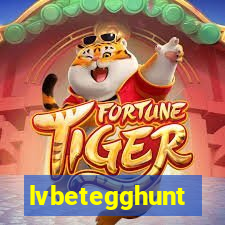 lvbetegghunt