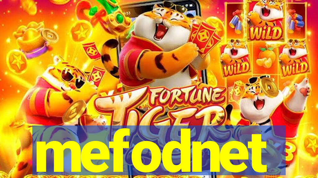 mefodnet