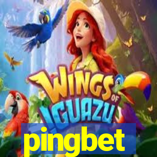 pingbet