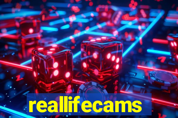 reallifecams