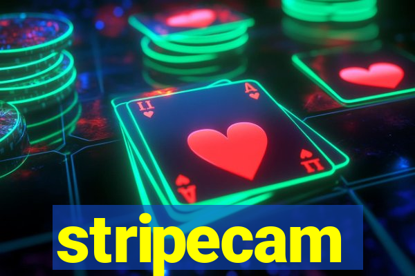 stripecam