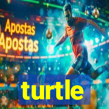 turtle-ty.com