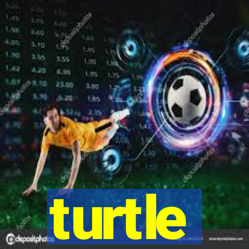 turtle-ty.com