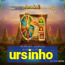 ursinho-pg.com