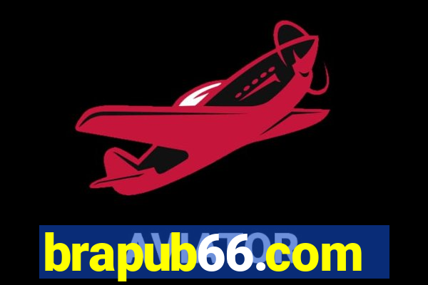 brapub66.com